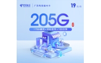 广东电信省内卡新 【19元205G+100分钟】