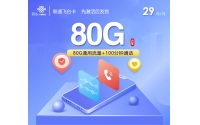联通飞白卡【长期29元80G+100分钟】