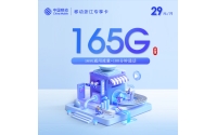 移动浙江专享卡【29元165G+100分钟】