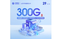 【新】山东专属移动卡【29元300G+100分钟】