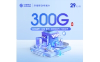 济南移动专属卡【29元300G+100分钟】