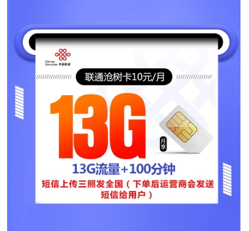 172联通沧树卡【10元13G+100分钟 6年优惠】