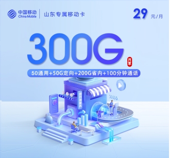 【新】山东专属移动卡【29元300G+100分钟】