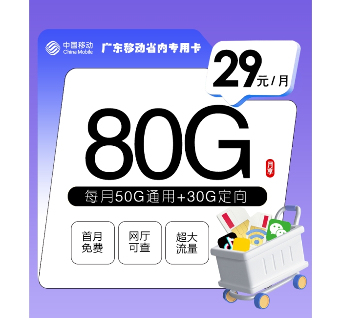 广东移动省内专用卡【仅发广东】